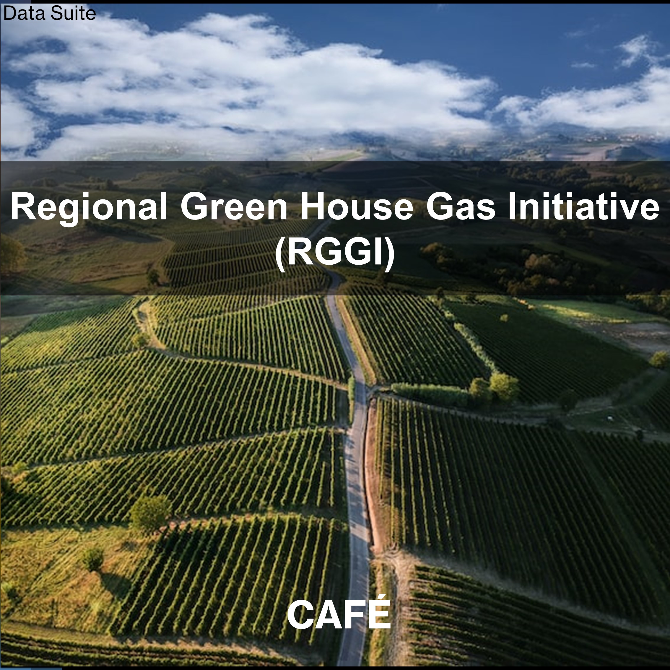 Regional Greenhouse Gas Initiative (RGGI)