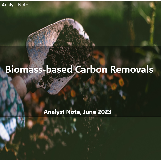 Biomass-based Carbon Removals | Analyst Note, June 2023